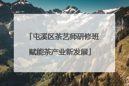 屯溪区茶艺师研修班赋能茶产业新发展